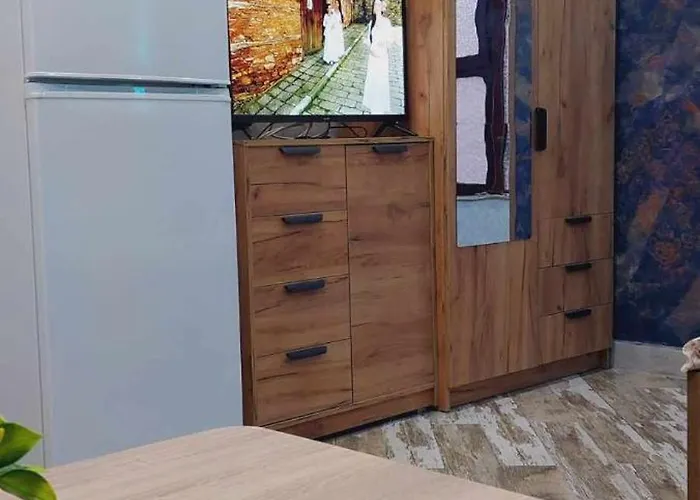 арт 3 Сливен